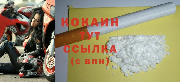 гидра Арсеньев
