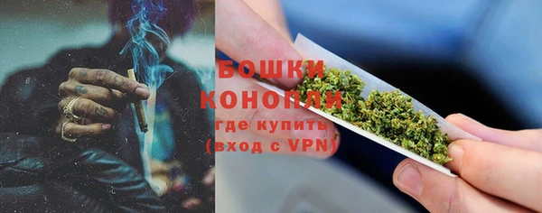 гидра Арсеньев