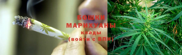 гидра Арсеньев