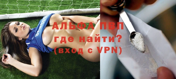 гидра Арсеньев